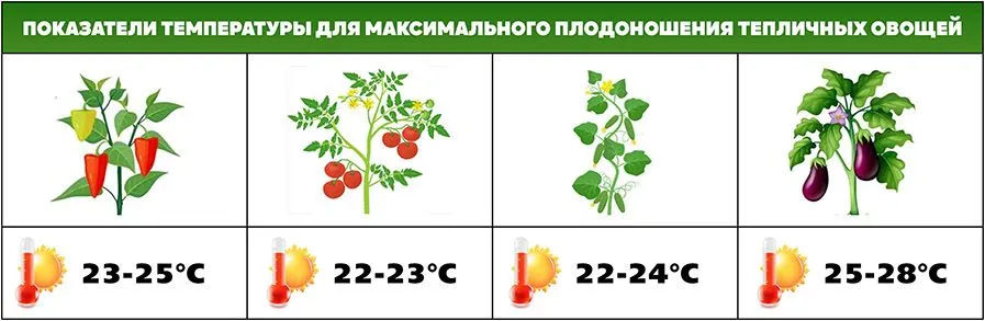 Таблица оптимальных температур для выращивания тепличных овощей